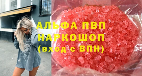 стафф Алзамай